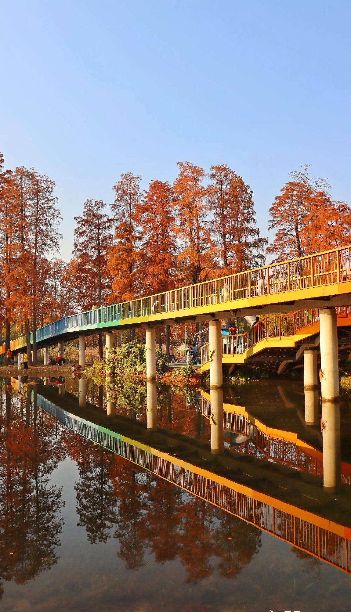 这日子真是过得飞快！马上月末+跨年，还有元旦的加持，武汉的节日氛围又要上一个档次