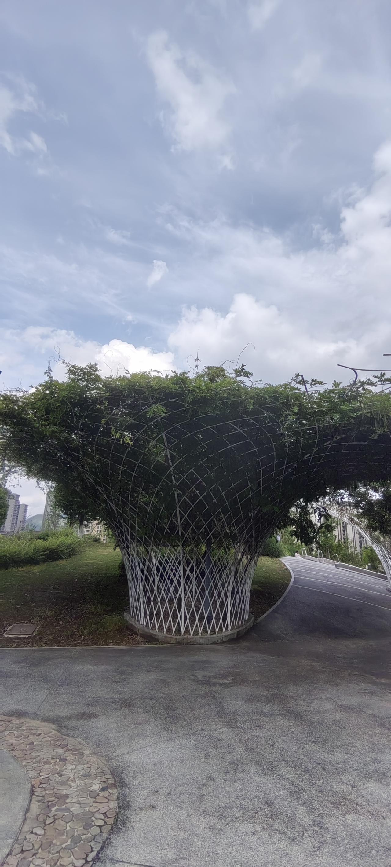 平淡婚姻背后，都是各自的隐忍。

表面看似岁月静好，实则藏着无数妥协和退让。
