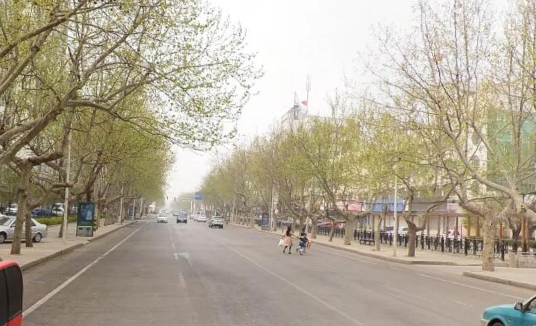 金乡县是鲁西南地区的一座重要的城市，是山东省济宁市管辖下的一座县城。金乡县是一个