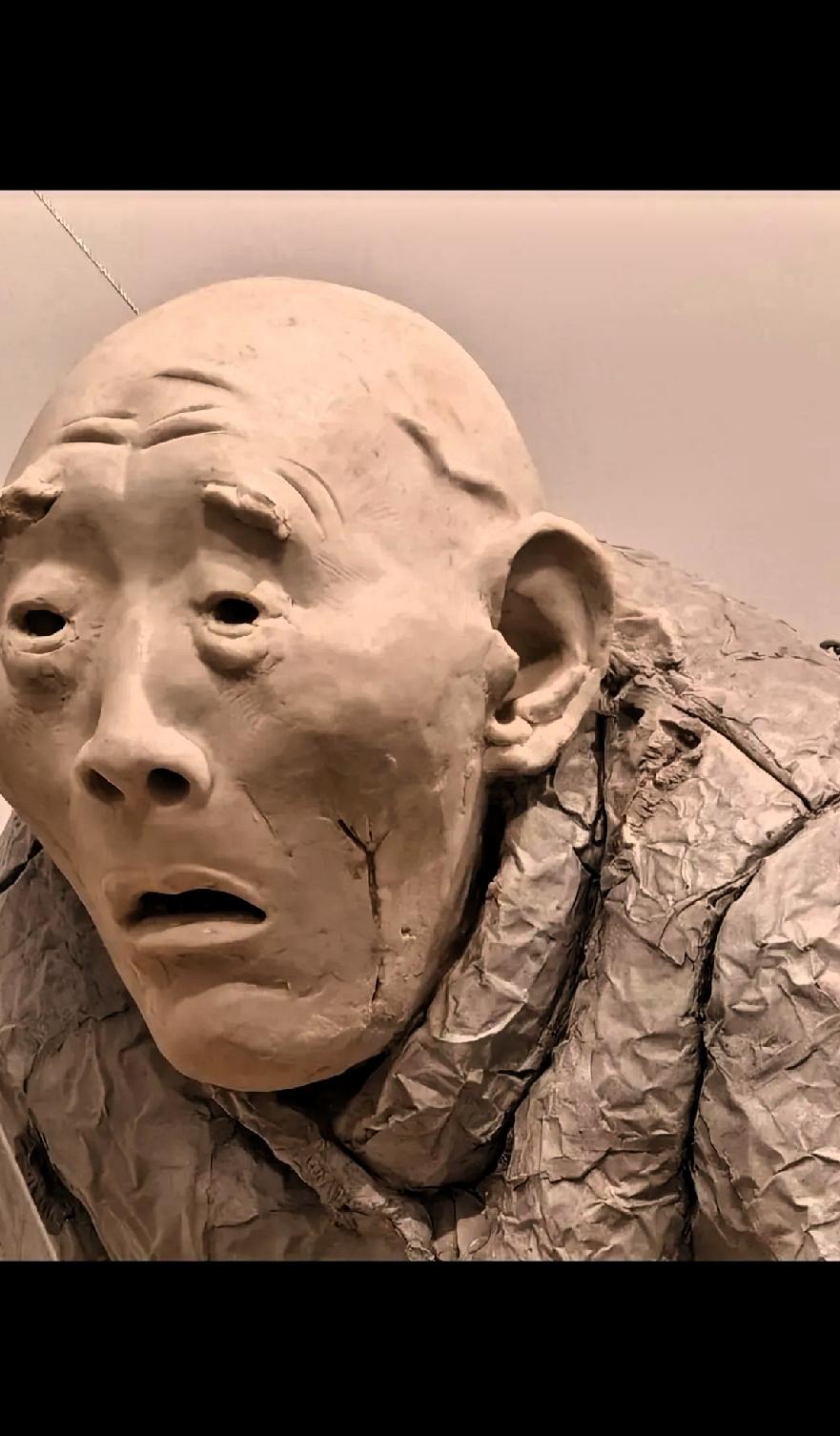 艺术不应该是传播表达美吗？
这是央美毕业展作品，大家觉得怎样？美吗？
不是所有的