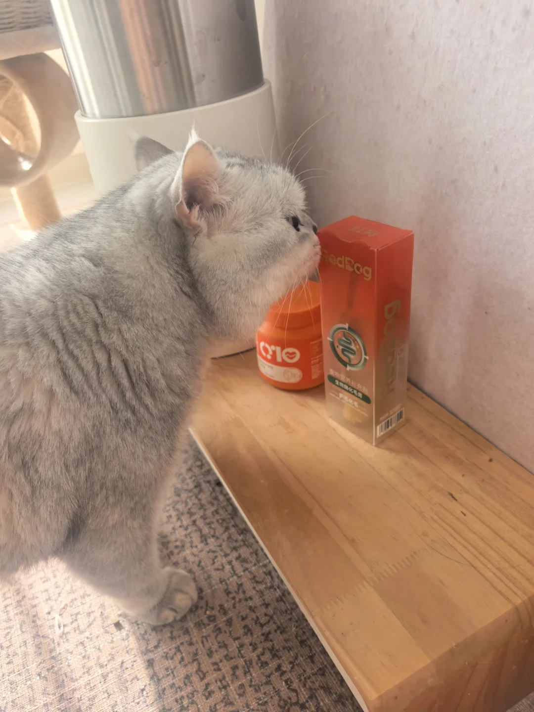 真实用快俩月才敢来说🐱这绿膏有点东西