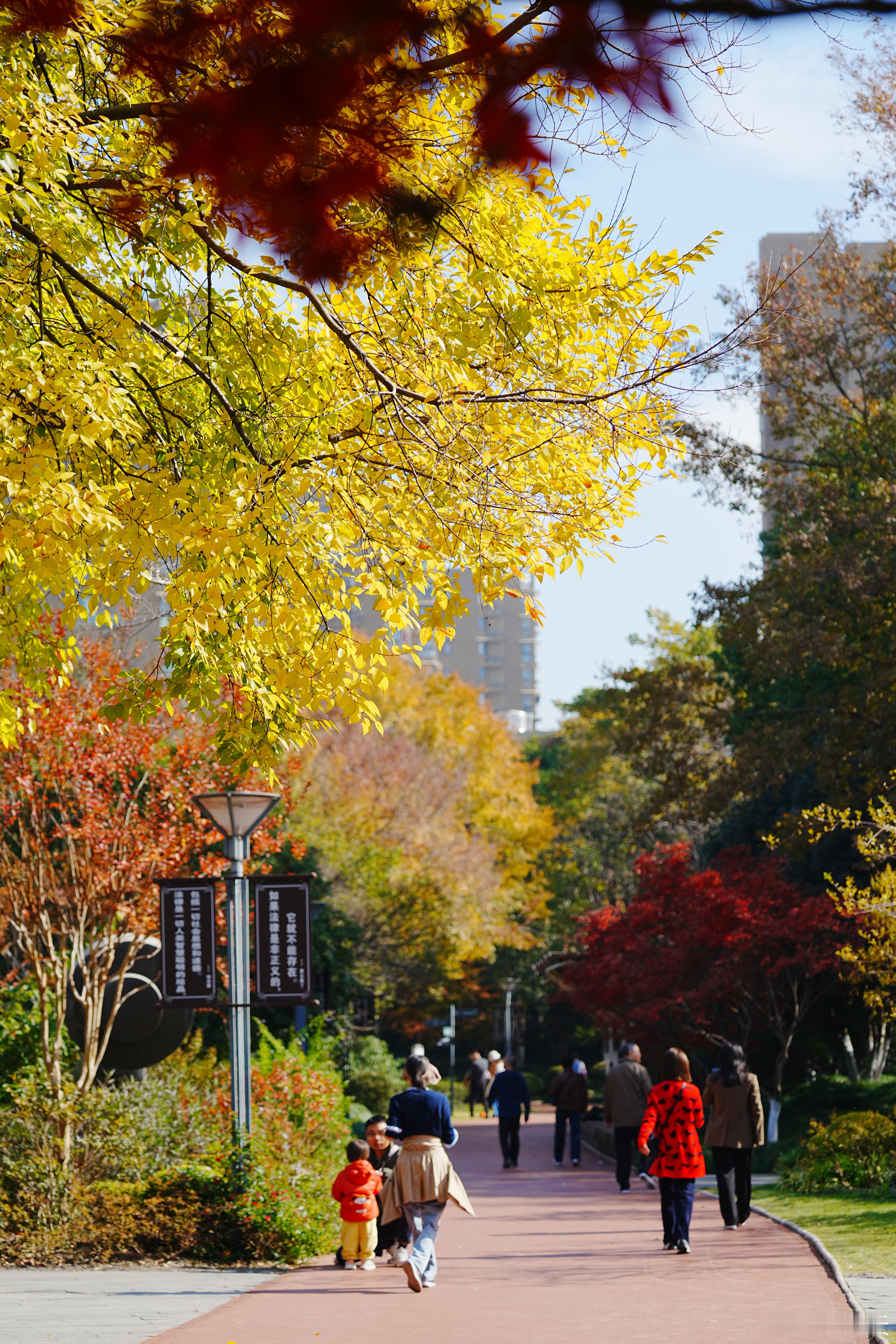 在这美丽的秋日，愿每位路过的人都能感受到大自然的温柔与美好🍂蜗的摄影日记出发吧