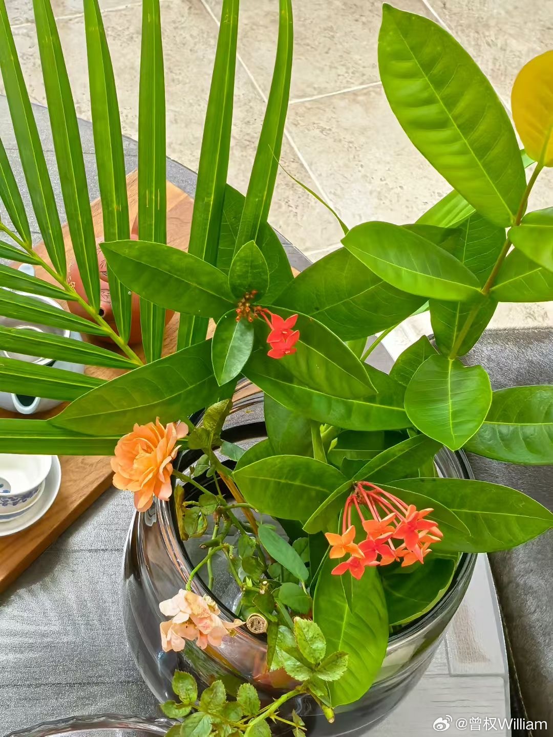 ​把植物放到看得见的地方，放一本书，或者就是放在一堆东西的旁边，那里马上就有幽静