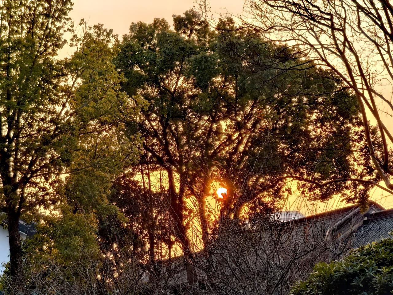 所见随拍美好扬州.观日出