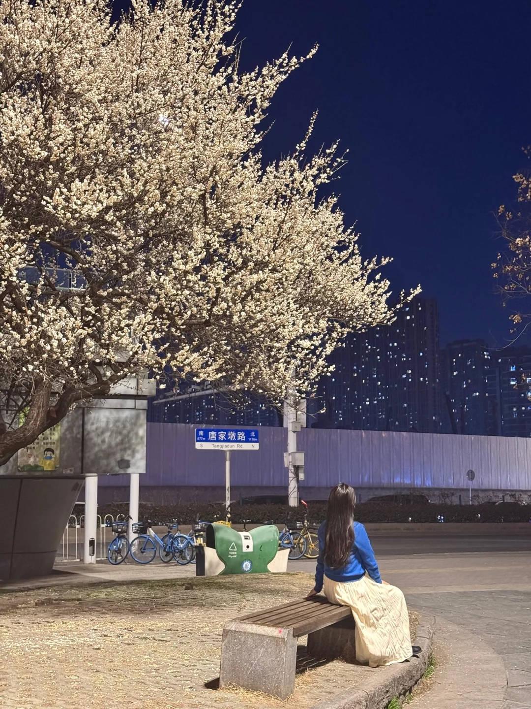 2月27日实况！天桥下白梅开爆了！不输樱花🌸