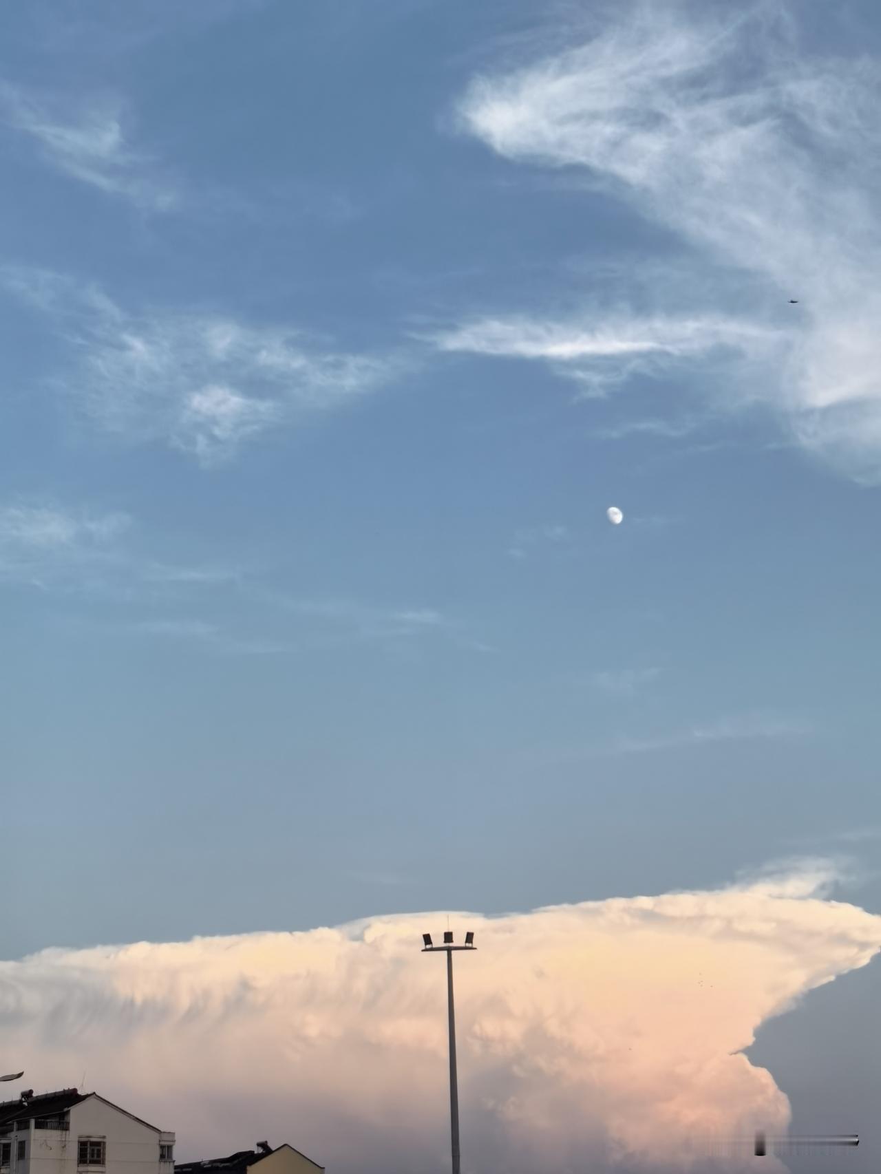 中伏过半，暑气未消，抬头却被这惟妙惟肖的云治愈。，它们似棉团堆积，又如飞碟悬停，