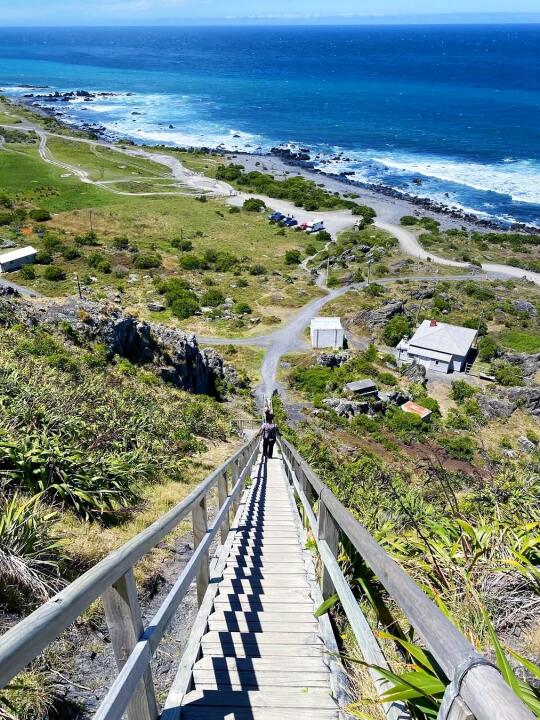 新西兰✨花了②个周末去躺平的✅0游客秘境