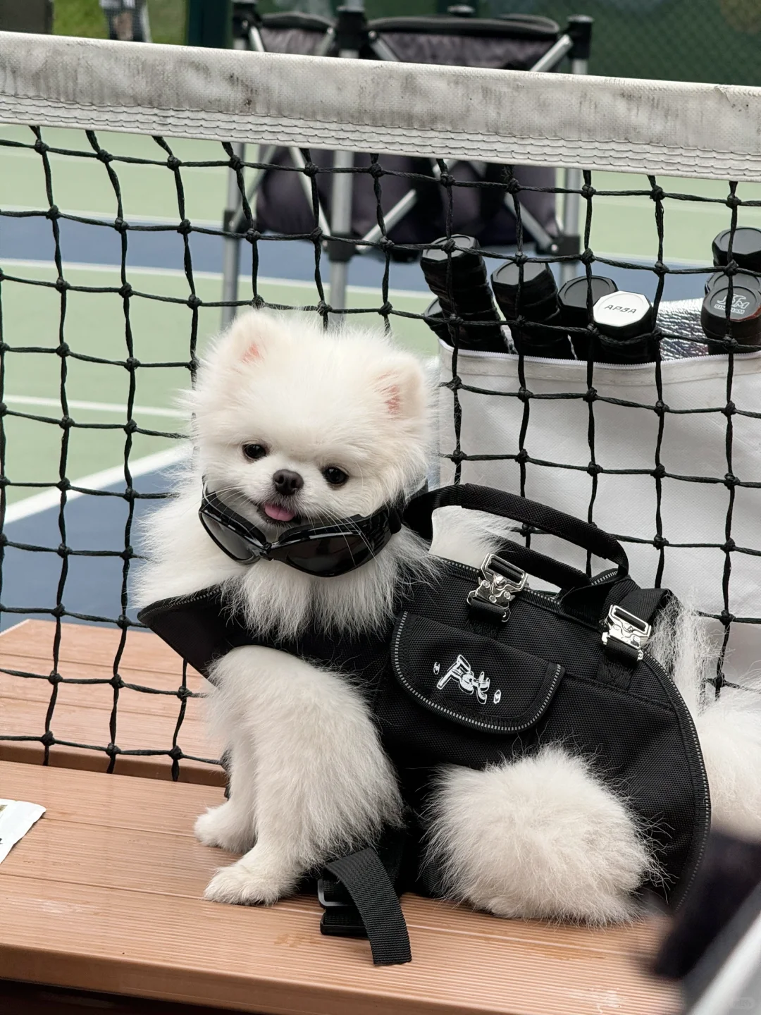 马上出道了🕶️