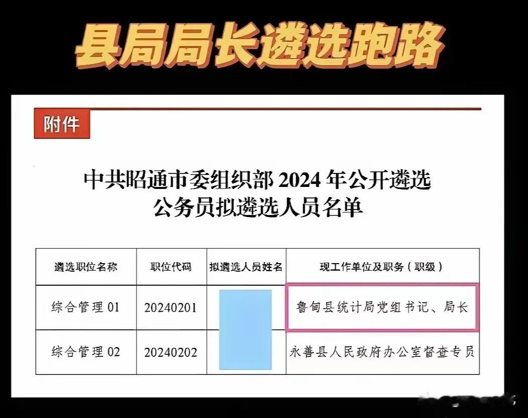 网友：在县里统计局局长基本就到顶了，去了市委组织部，科长只是个开始，在县里的时候