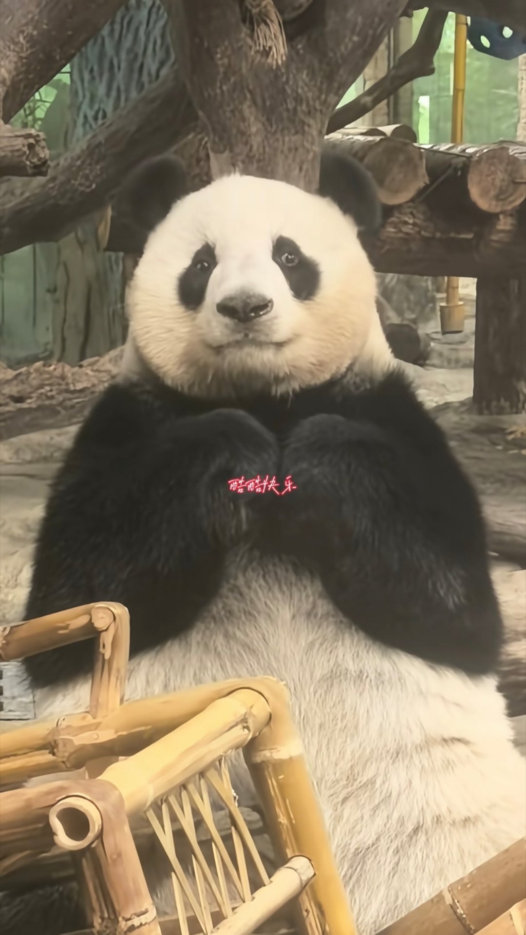 国庆bb比心哈哈哈🫶 ​​​