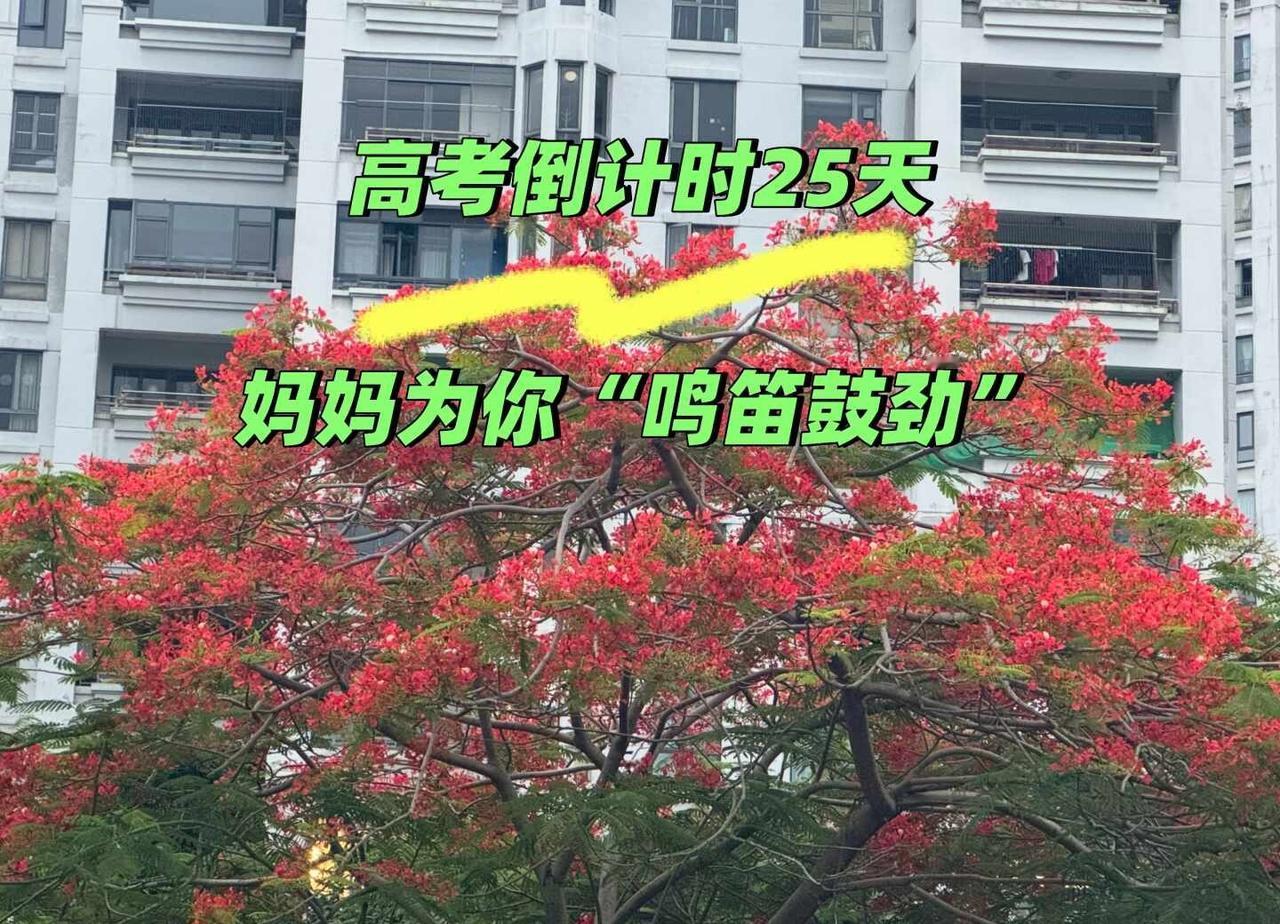 孩子，妈妈带客户看房时天天说“这个位置绝佳”。但妈妈想告诉你：你努力的样子，才是