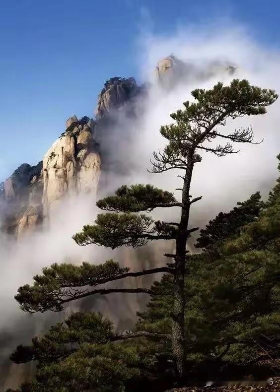 《黄昏闲语》
散文
落日揉碎霞光，洒在老旧问院墙上，一日喧嚣落幕，便是岁月黄昏降