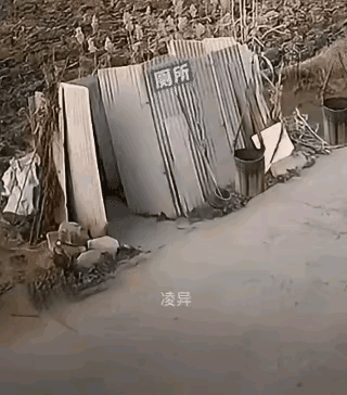 这是一场车祸，可是我眼泪都笑出来了#引人深思的插画# #灵魂画师游先生# #欲言