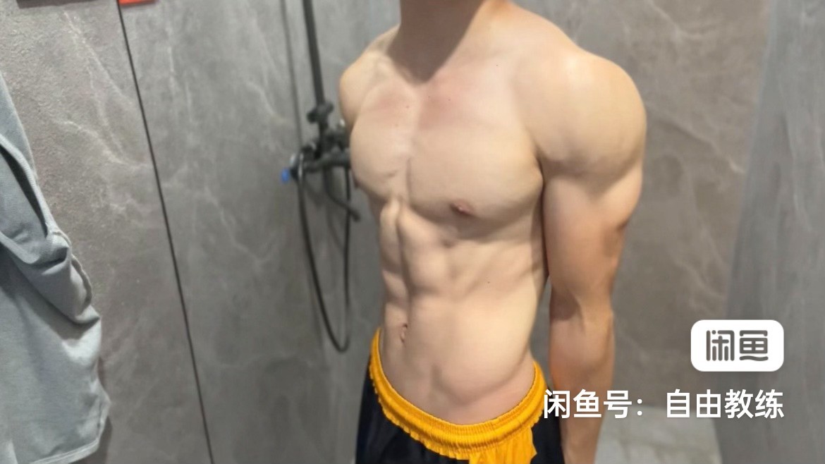 🌳|看树 靠近树 种树 因为树很棒 