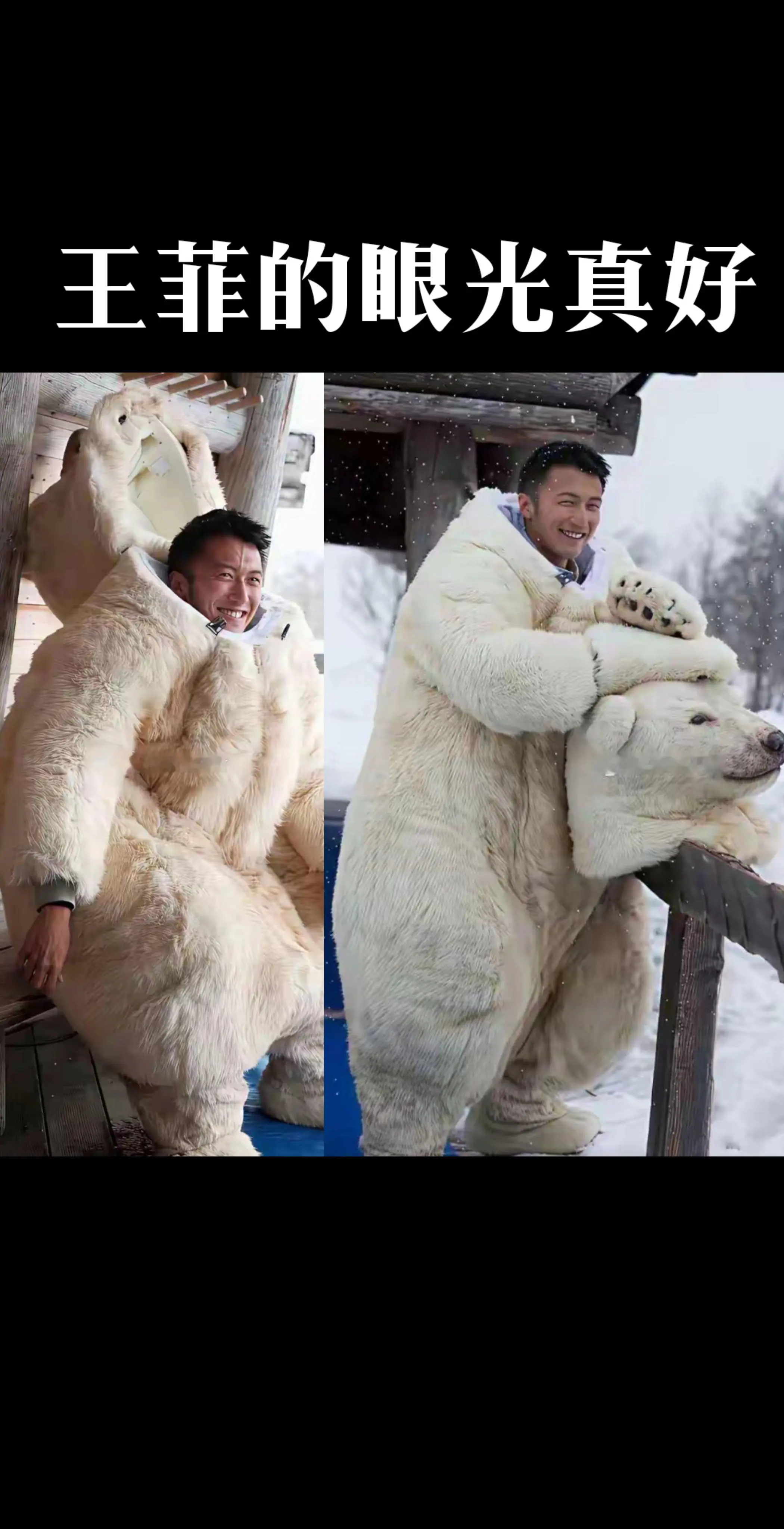 不得不佩服菲姐的眼光！