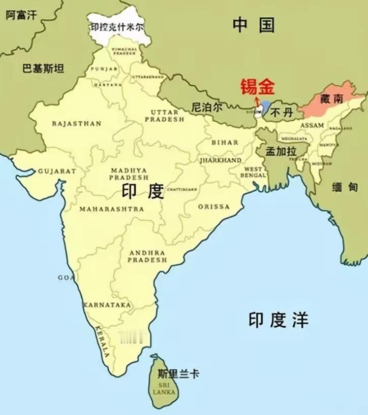 西方国家很少围堵印度，原因还挺多。印度的医药产业超厉害，全球60%的疫苗、20%
