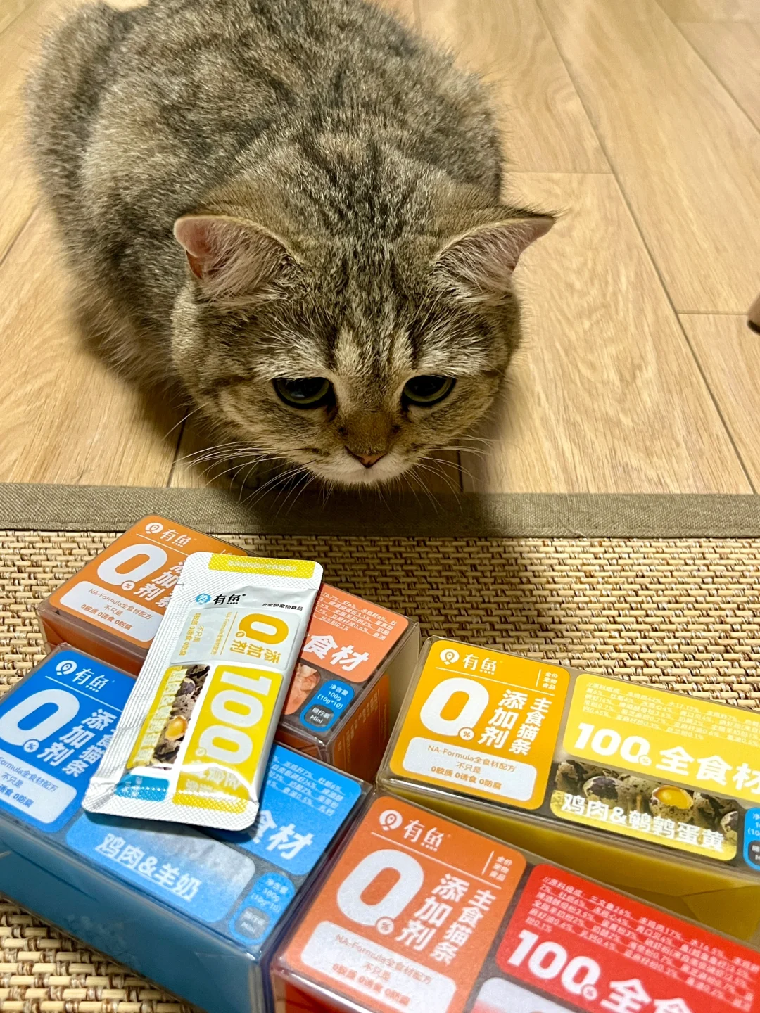 面对猫条要有钢铁般的意志