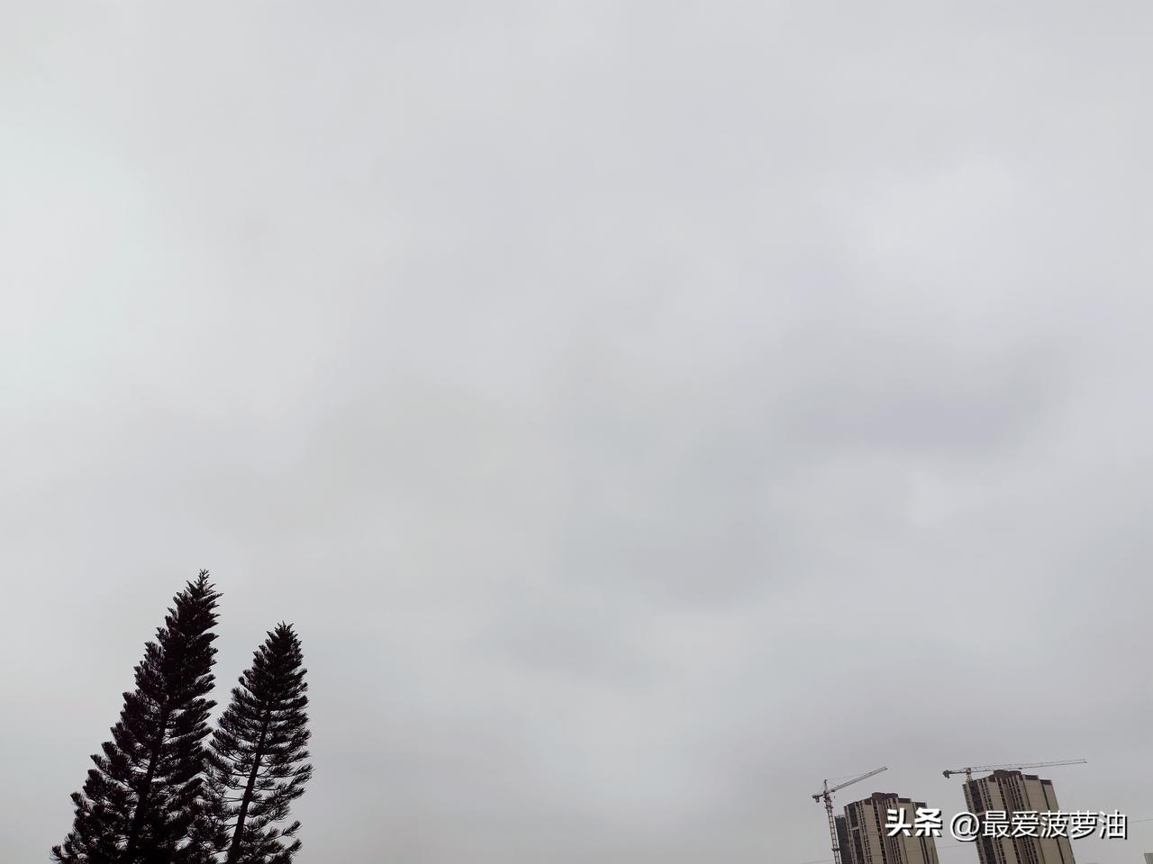 广东未来大部有阳光，早晚有轻雾局部有雾！

22～24日，广东大部市县可见阳光，