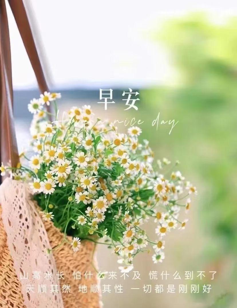 ☀️
美好的一天开始啦！

心怀善意，所遇皆是温柔💛 新的一天，带着善意出发吧