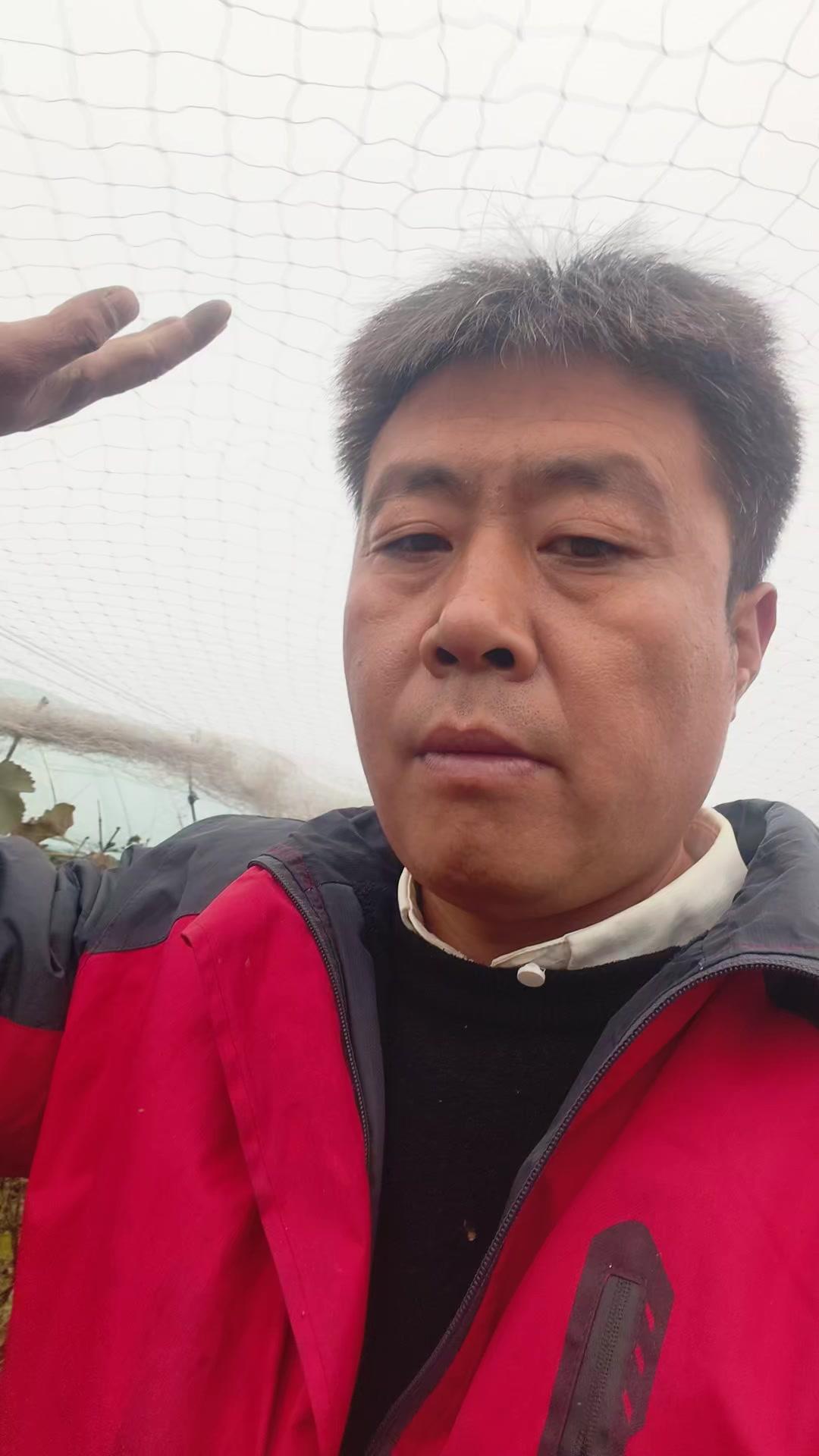 🍇葡萄摘完后到底要不要秋施肥？其实得分情况来，别盲目跟风浪费钱
比如药物保果、