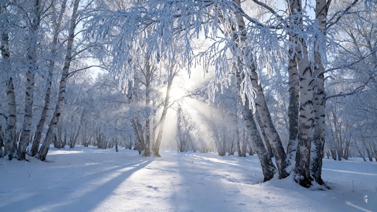我在头条晒家乡 我的家乡呼伦贝尔的冬天，就是一个冰雪王国。
刚11月，一场雪就把