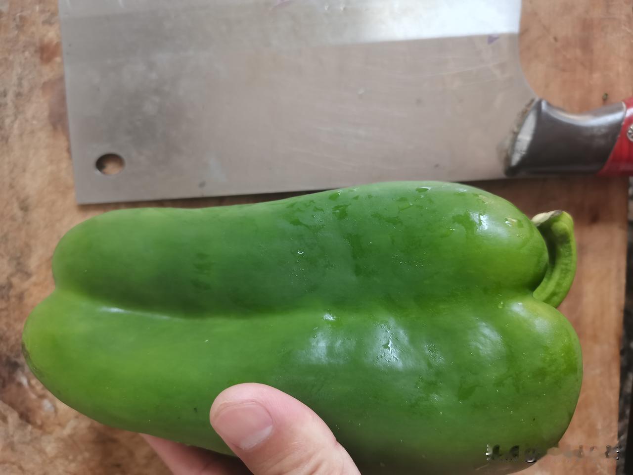 这么大的青椒，你敢吃吗？家里人从外面买的青椒，个头竟然比一把菜刀还大。比自己种的