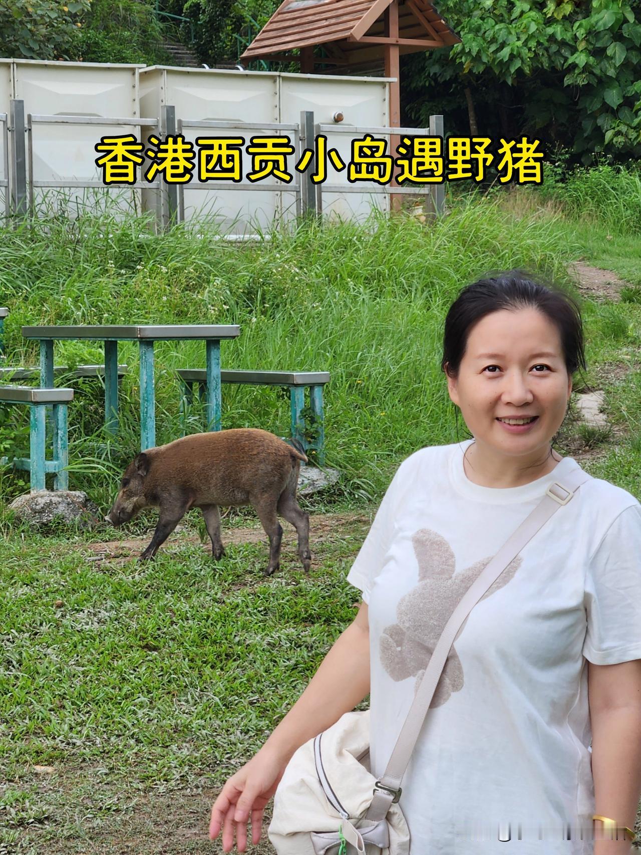 去香港玩了一天，1000块钱没了。

孩子放暑假了，除了学习也得出去放松一下。我