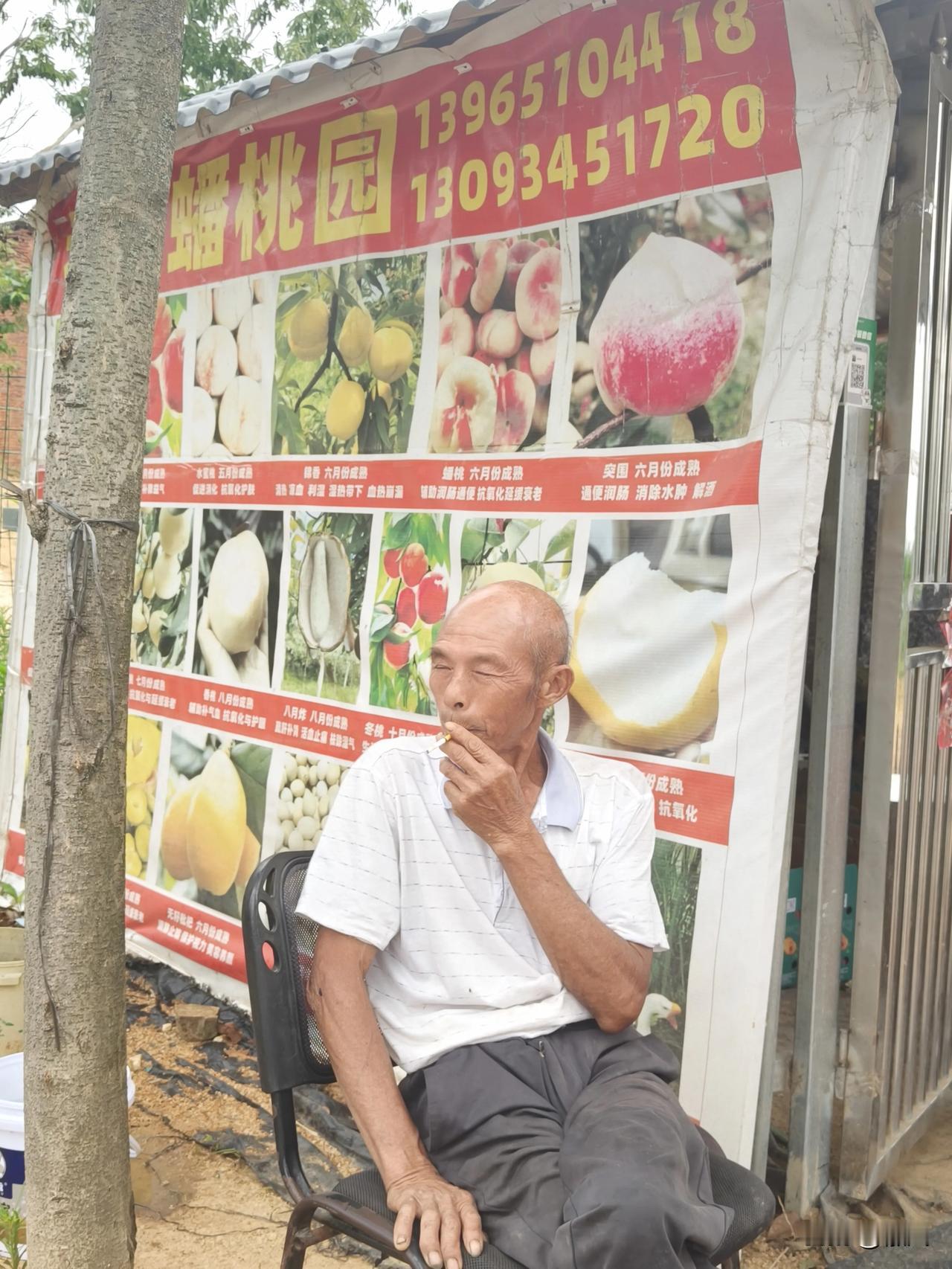 庐江老李喊你，来摘桃子啦！
摘了桃子，还送你老鹅！