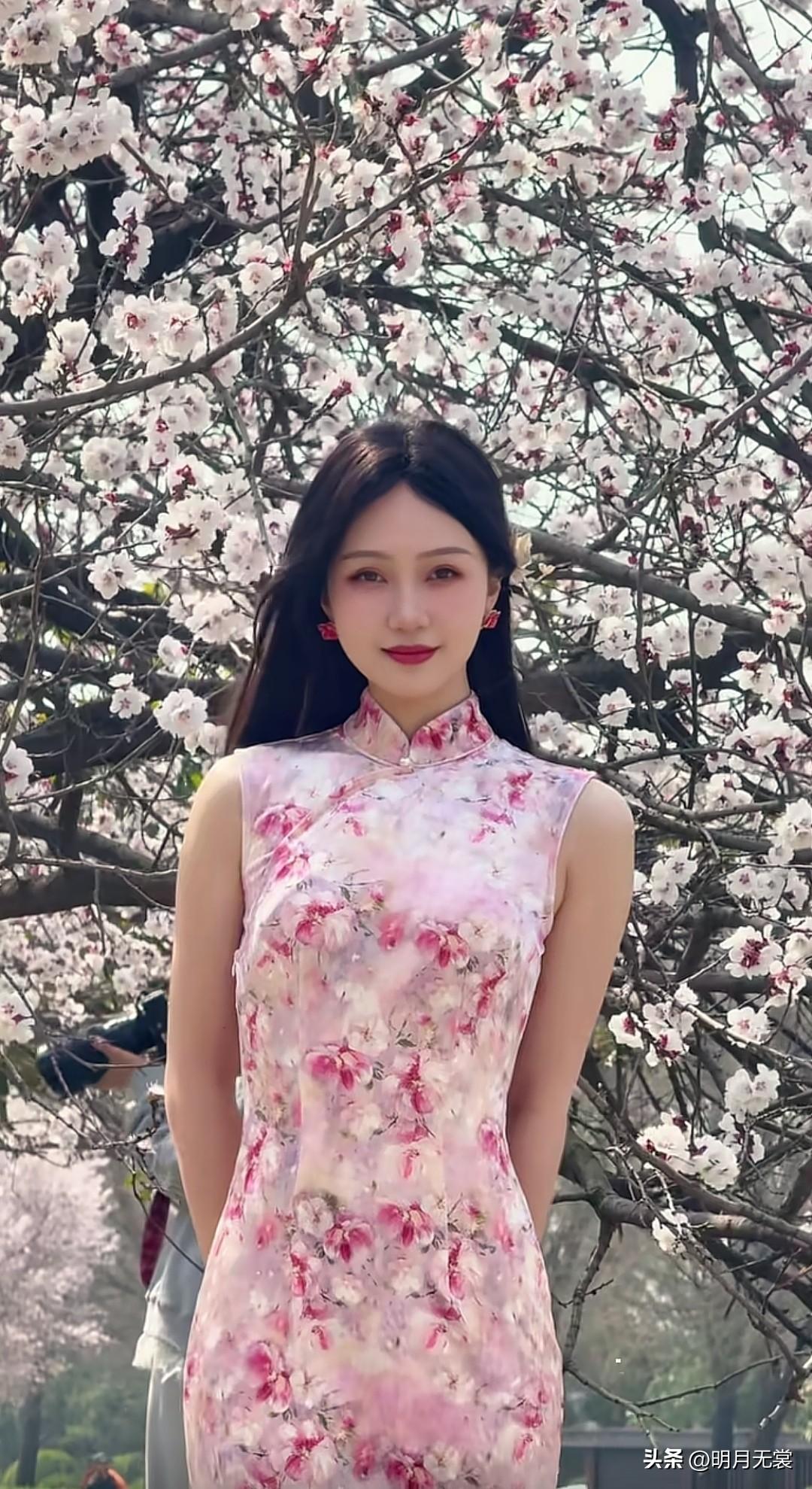 樱花树下，少女如画，春日盛放。