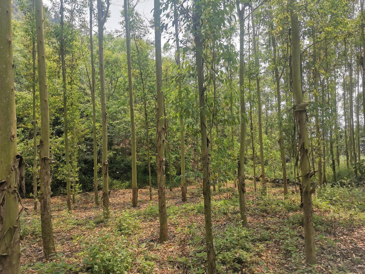 破防了！1.2万名无名英烈骸骨被发现，清明缅怀，致敬英雄！

家人们，这条新闻太