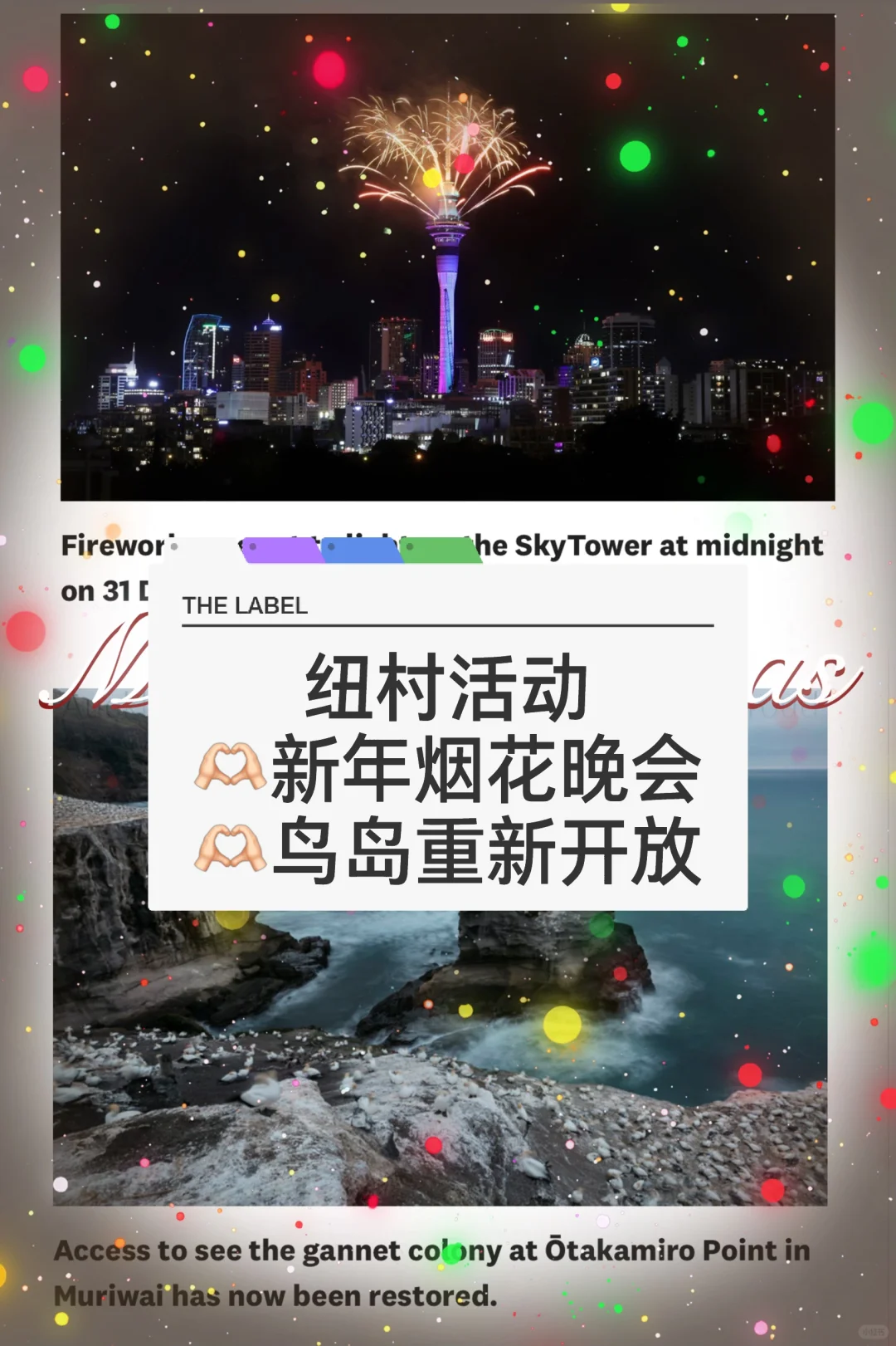 🇳🇿纽村新年灯光秀 鸟岛重新开放