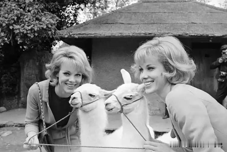 同年同月同日生，同年同月同日死被这两位女士做到了，而且都是善终，这恐怕是极其罕见