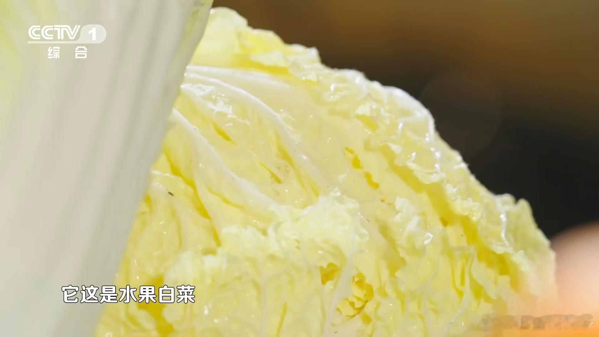 河南有种白菜甜到能当水果吃宝藏蔬菜必须有苗桥白菜一席之地，它可是河南商丘永城的特