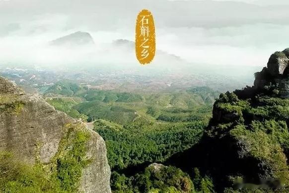#霍山石斛认何家# 霍山石斛的价值已经越来越得到社会的认可，然而许多人对于霍山石