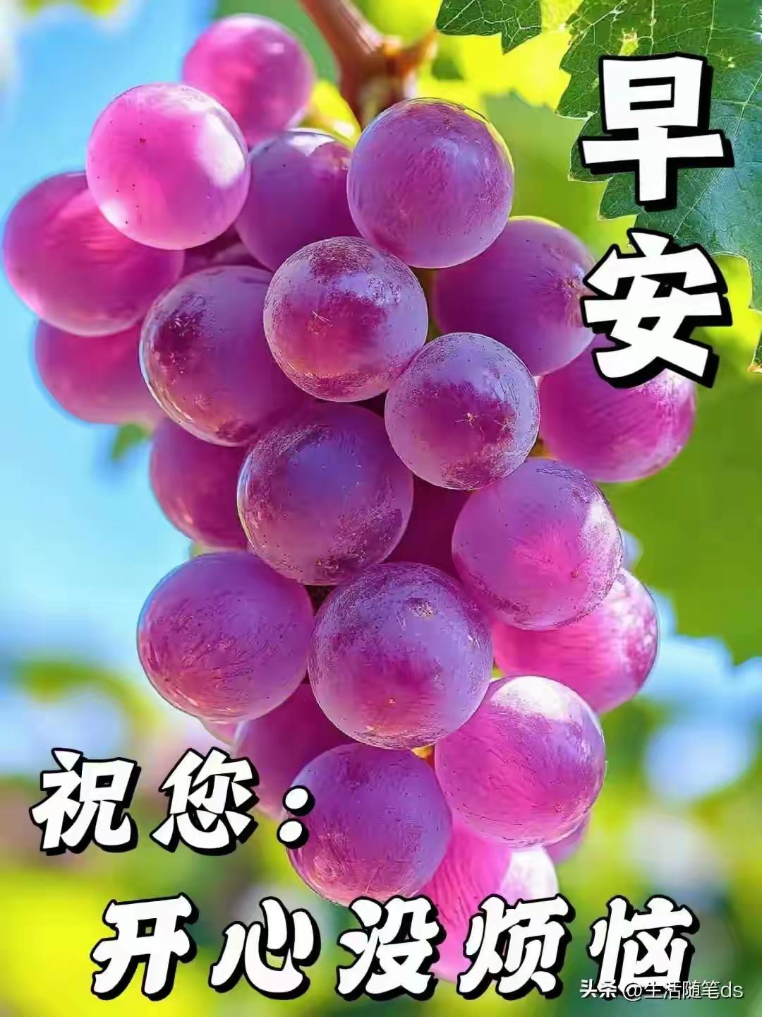 我新发布的内容被官方推荐啦！👍人与人的幸福，能有共同语言，共同追求。寻找共鸣的