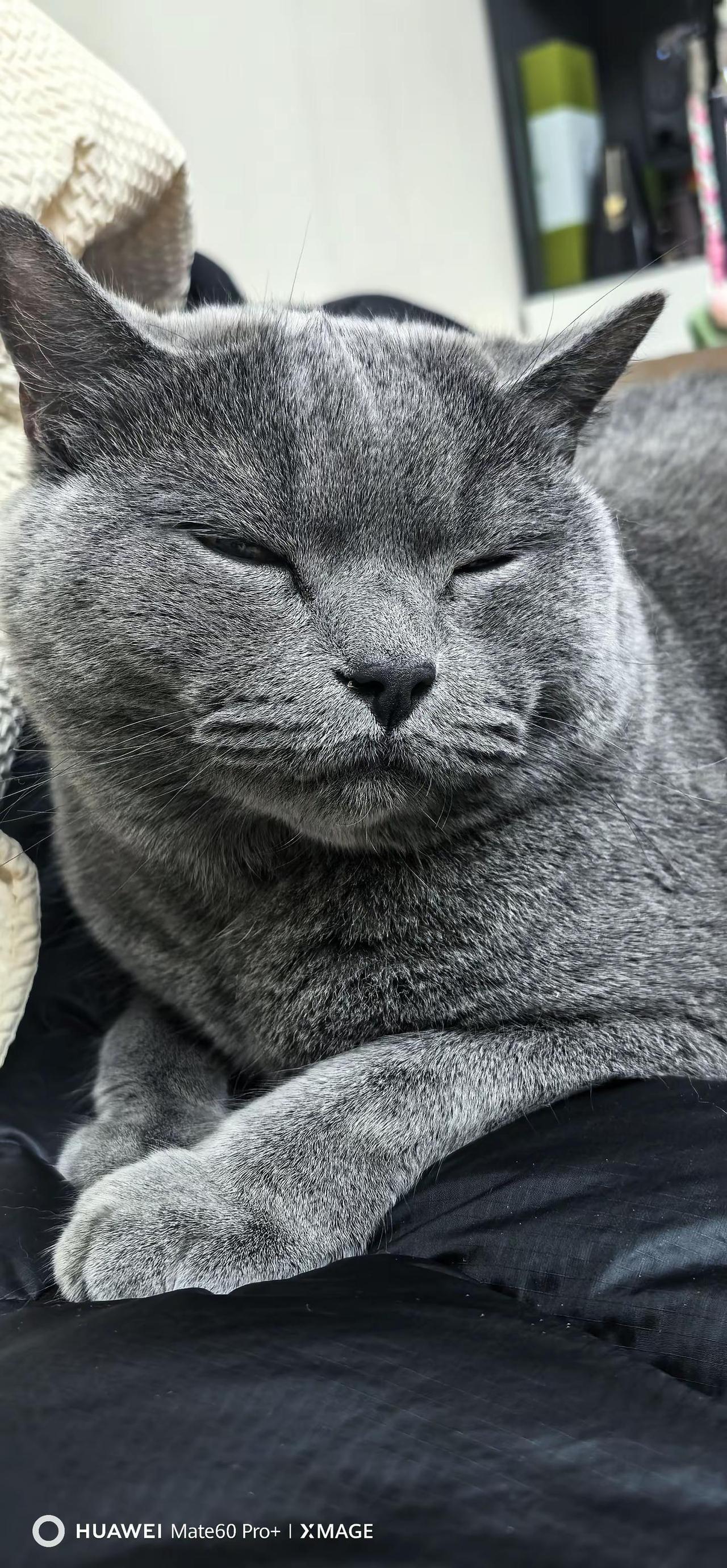 听到这个bgm忍不住给李白拍一张！