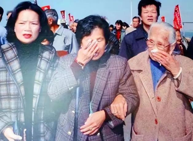 1949年，一对夫妇抛下高烧的儿子，登上去台湾的飞机。40年后，女人回来寻找儿子