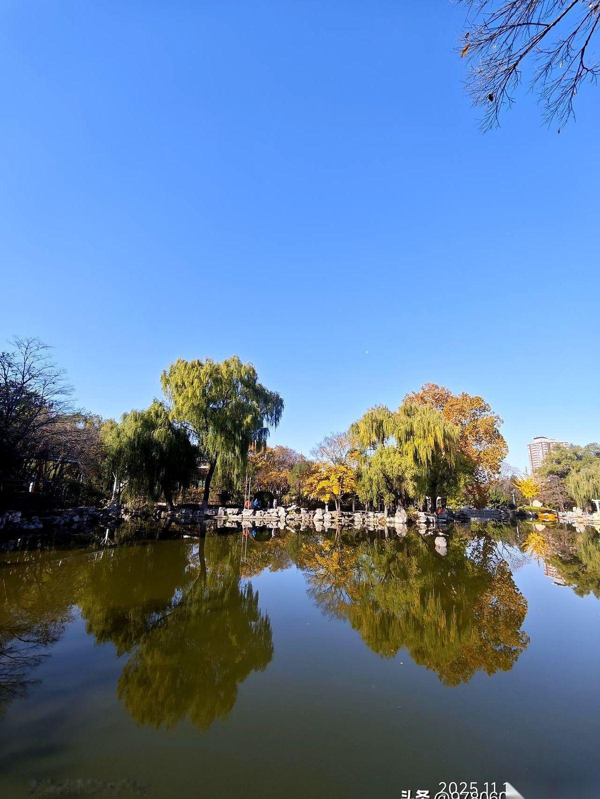 好家伙，一脚踏出门，魂儿都差点被冻回去半个。
手机叮叮咚咚响个没完，划开一看，果