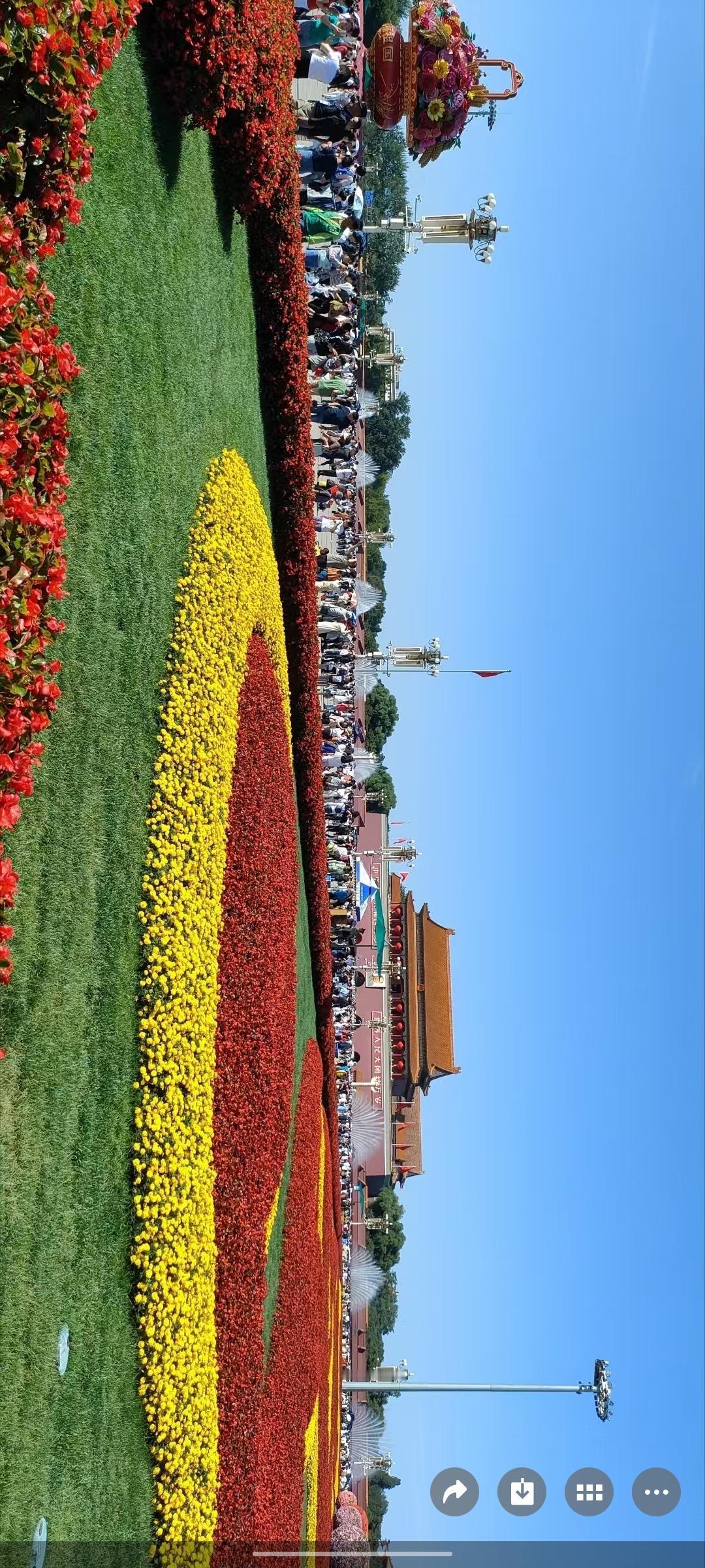 绚丽的花朵与庄严的建筑交相辉映，美不胜收！