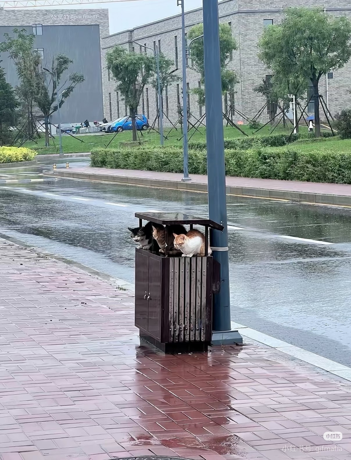 白海豚 上班