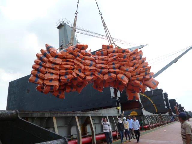 新闻快讯：美国试图扣押伊朗运米船 革命卫队海军护航使其安全抵伊
 
📅 时间：