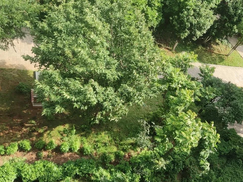 多看风景
