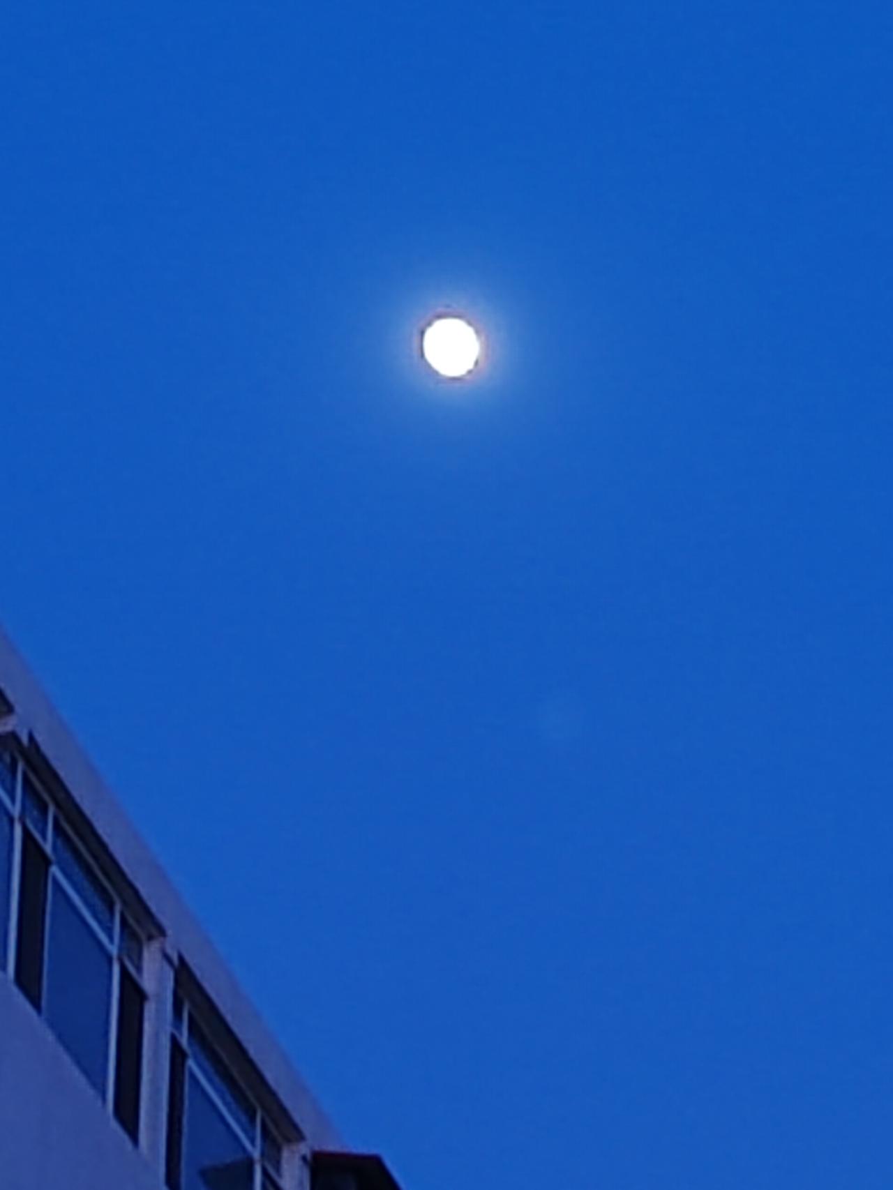 鸡蛋不可全放在一个篮子里，毕竟高风险往往伴随着高收益，低风险则对应着低收益。倘若