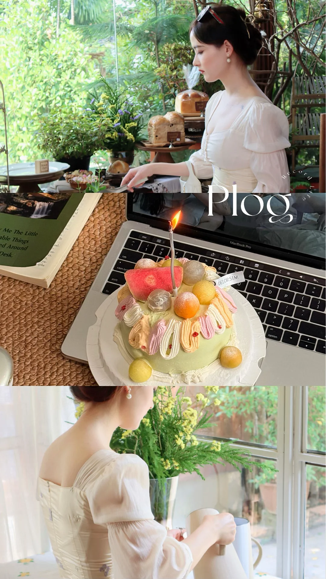 My life| 𝚂𝚙𝚛𝚒𝚗𝚐 𝙲𝚊𝚔𝚎  ❊ ✧‧₊˚🍃