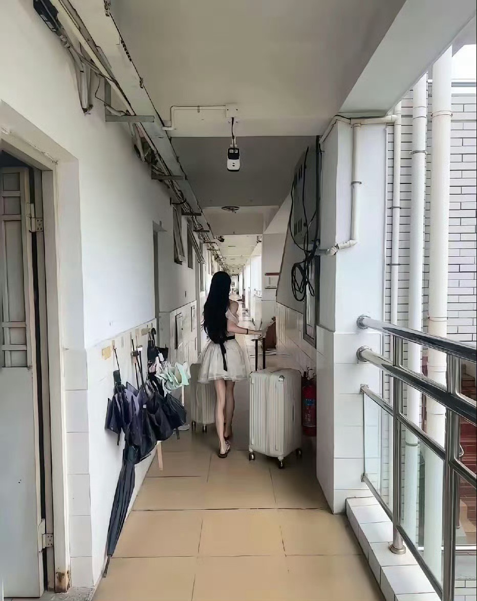 美好的一天开始评论关注抽6个现金红包🧧🧧🧧 