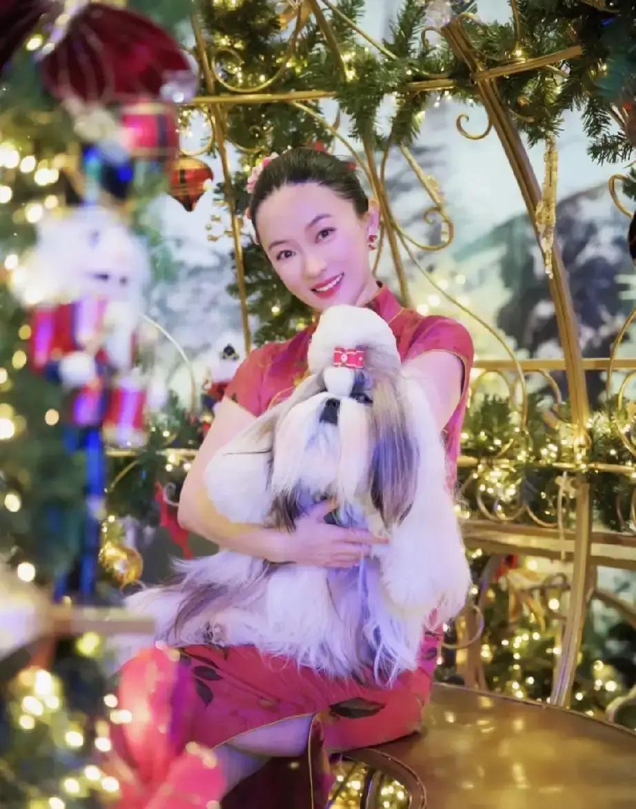 真正的阶级隔离，从你家的宠物开始。
 
看着霍思燕家宠物狗的美容区，你算了一笔账