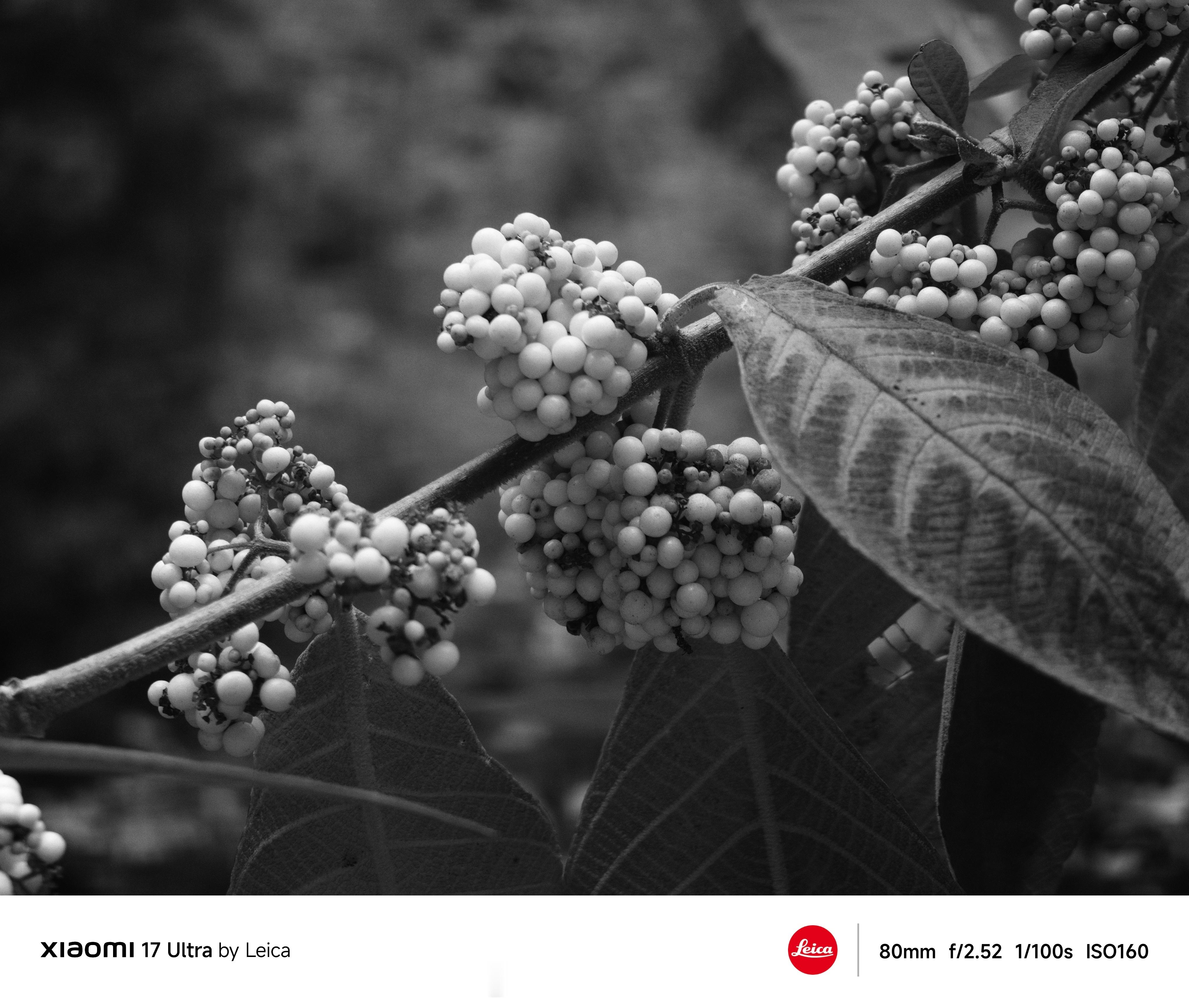 终于get到徕卡一瞬的用法了数码小哥哥推荐