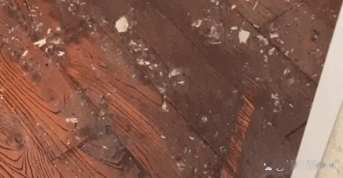 上海宝山区罗兰佳苑陈女士的遭遇，看完真让人既心疼又气愤——十一假期全家去苏州游玩