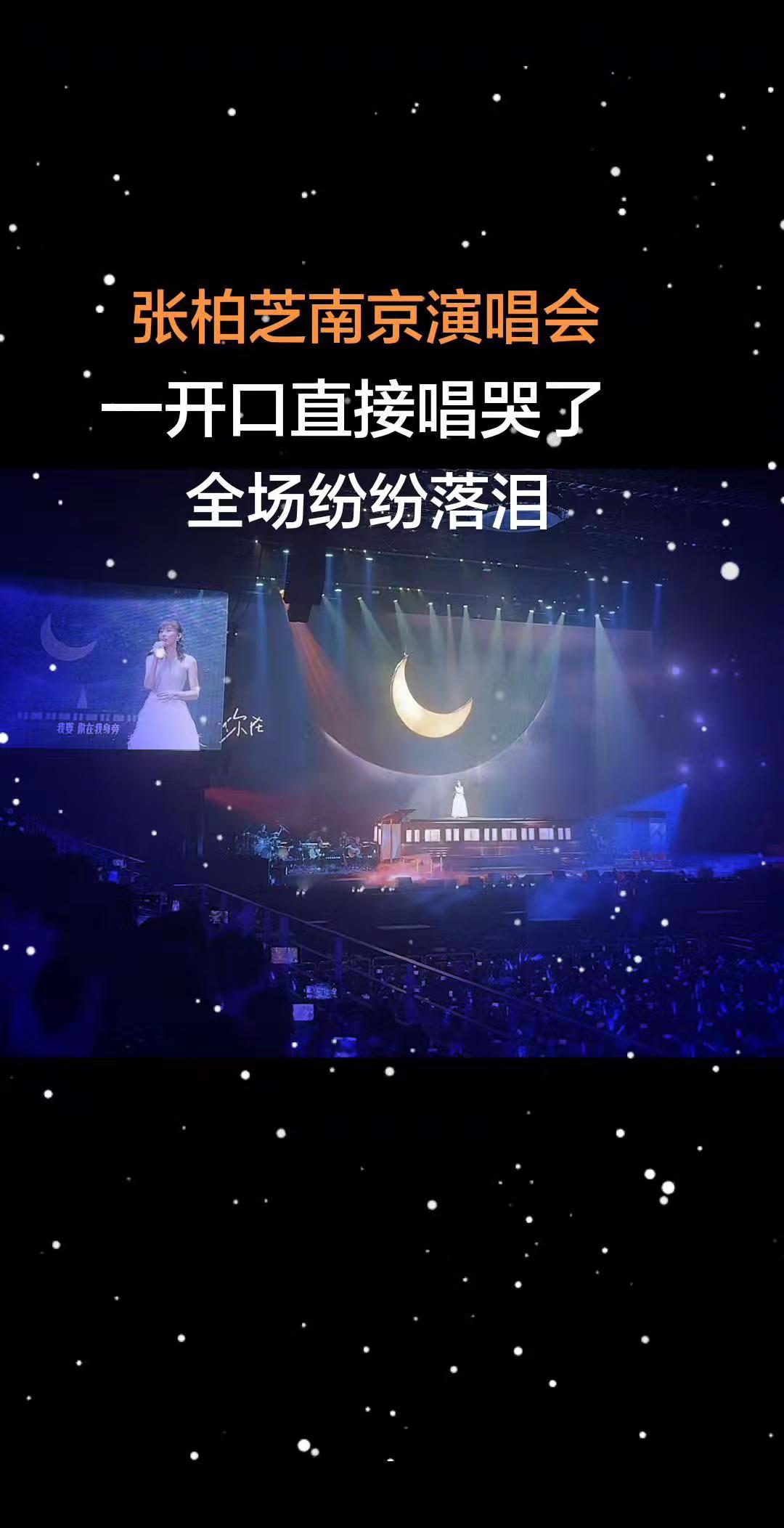 百听不厌，伤感又好听，听了好几遍演唱会灯海 全开麦演唱会现场 无尽光芒演唱会 万