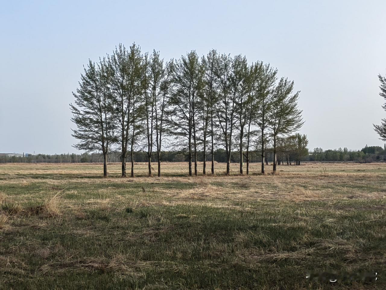情情情，情深似海
月月月，月落西山

官官官，官升三级
月月月，月落西山

不在